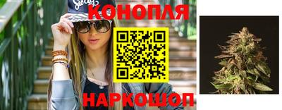 прущие крисы Лесосибирск