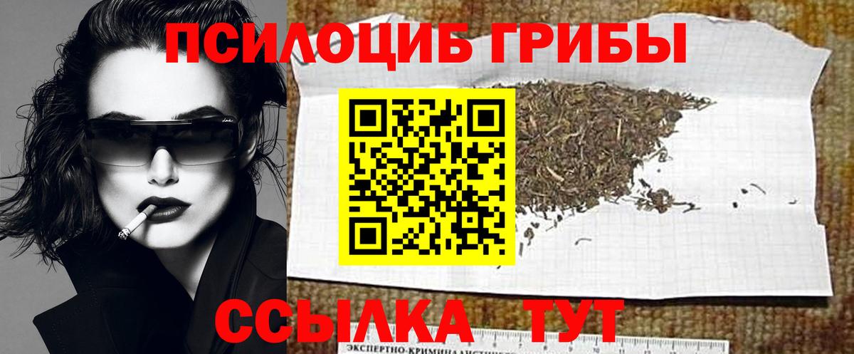 Галлюциногенные грибы мухоморы Городец