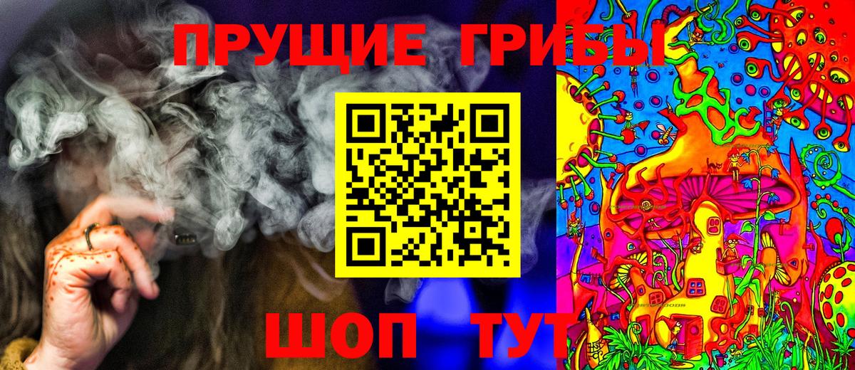 дарнет шоп  Галлюциногенные грибы мухоморы  Вход с VPN  Городец 